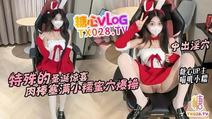 苹果+安卓+电脑【视频 糖心vlog】喵叽小糯  性感邻居圣诞节兔女郎套装上门【703M】-大壮社区