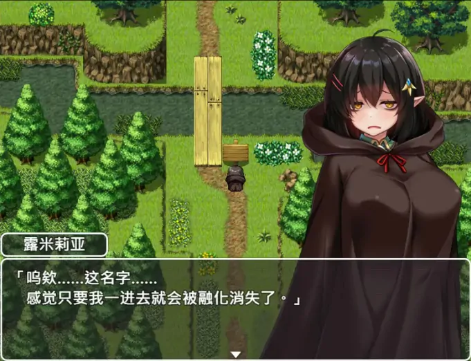 图片[5]-安卓+电脑【精品RPG/恶堕/作弊】悲观巨乳混血精灵想要受尽吹捧 全CG 步-大壮社区